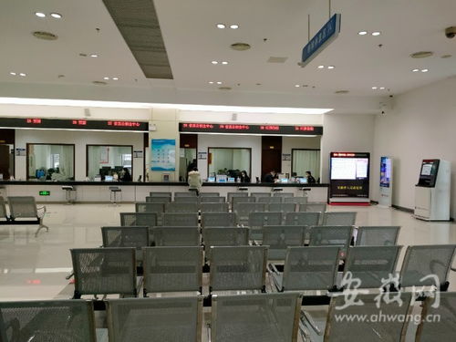 虎年開工首日探訪 安徽省政務(wù)服務(wù)中心窗口人員堅(jiān)守崗位，熱情服務(wù)暖人心